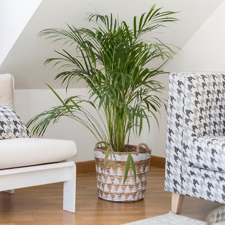 Apartamento Boutique Con Terraza Y Vistas Al Mar. Porto Vilanova 阿罗萨新镇 外观 照片